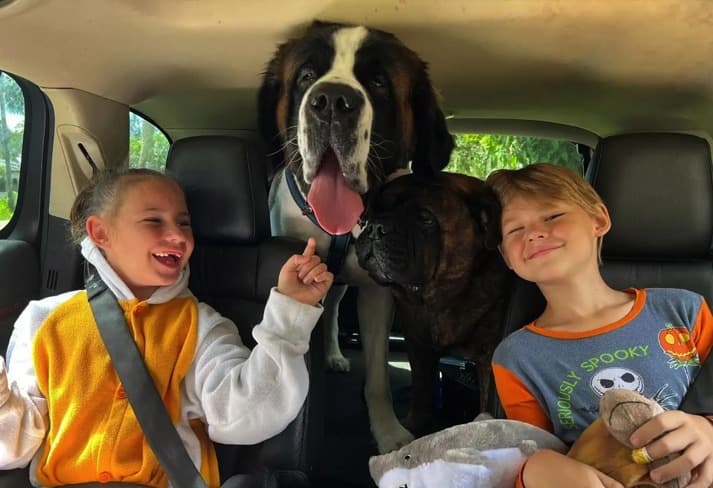 Family with dog in car representing group fundraising