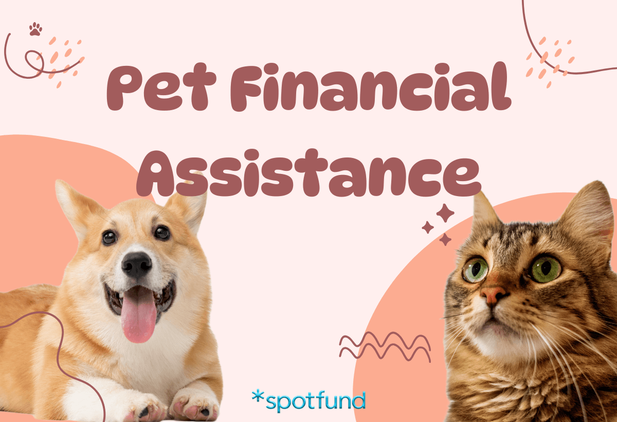 Pet Financial Assistance: Resources for Pet Owners in Need