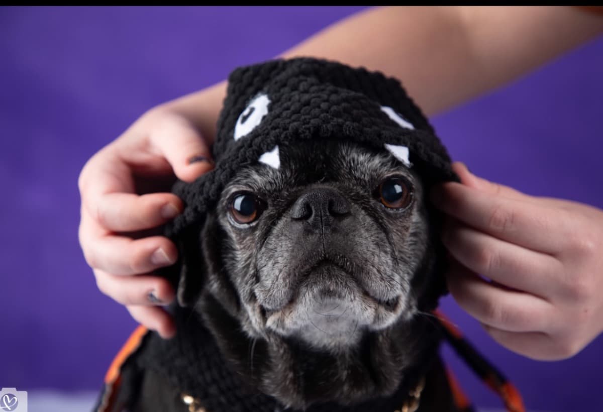 WinstonsCancerRemoval