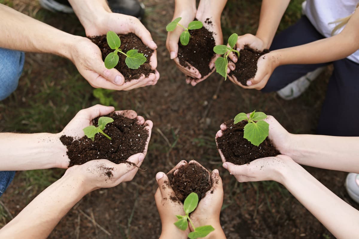 HealingTheEarth