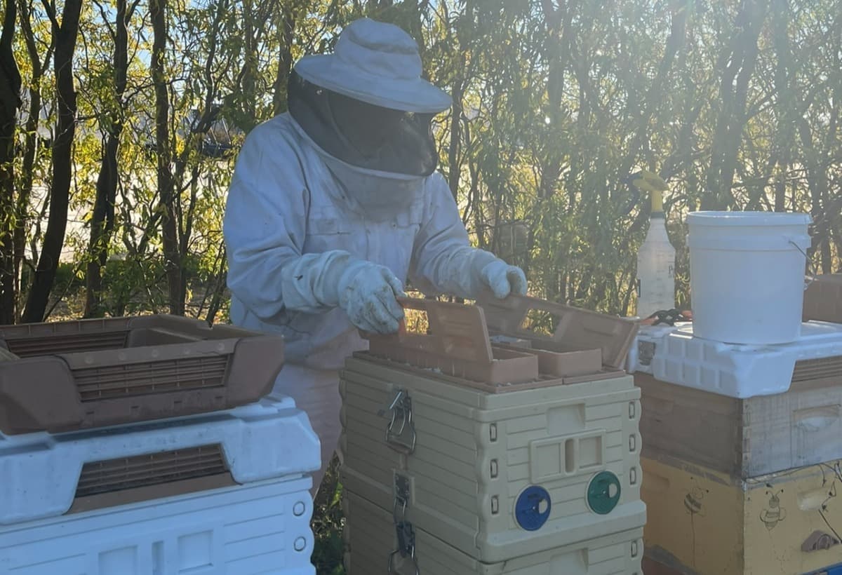 HelpSaveOurHoneybeeFarm