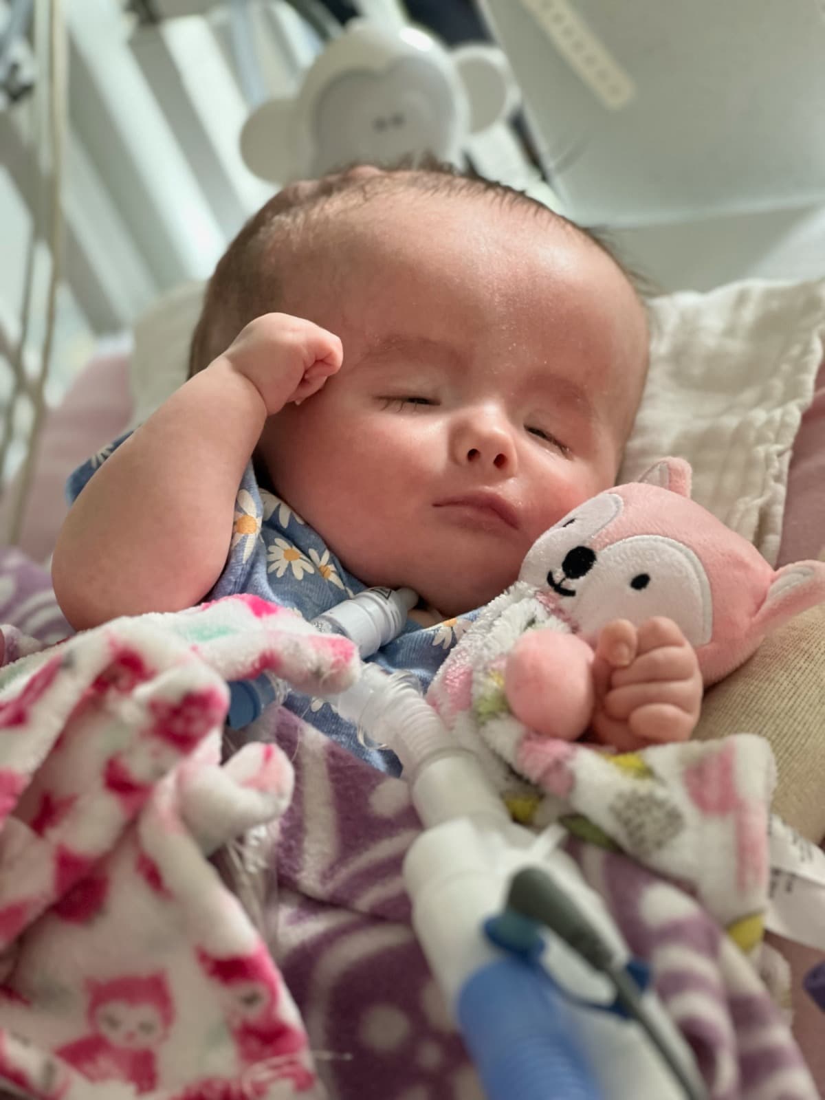 MySweetGranddaughter