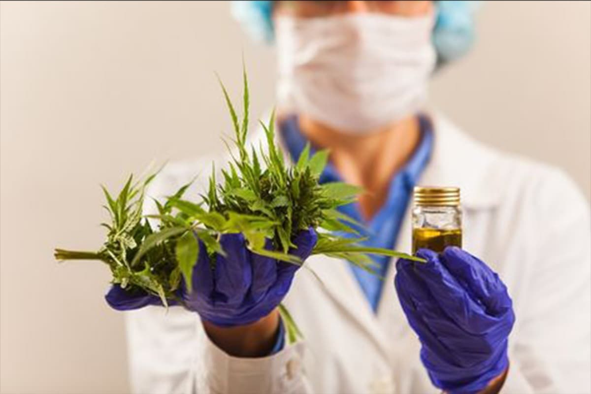 SafeCannabisForSD