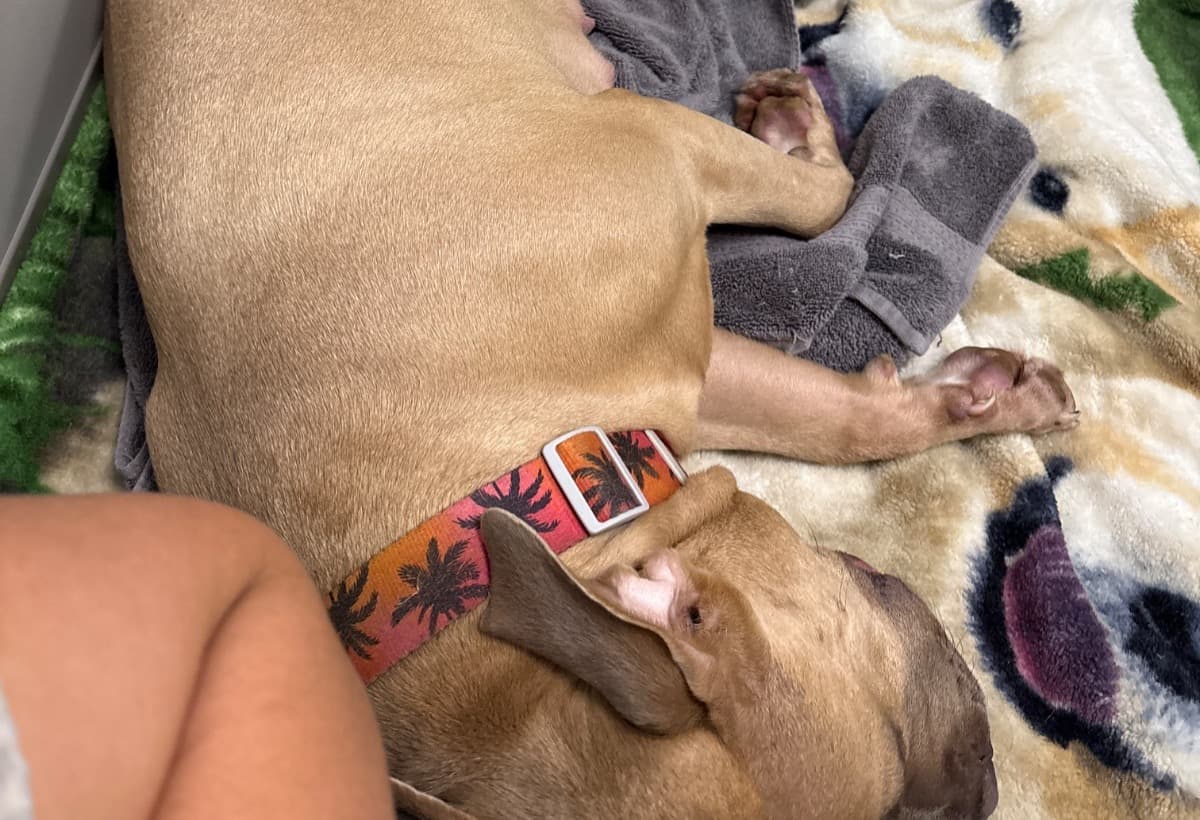 WeFoundTheGoodInHumanity