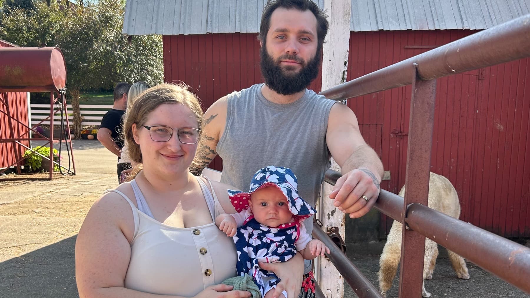 OperationNewYearNoDebt