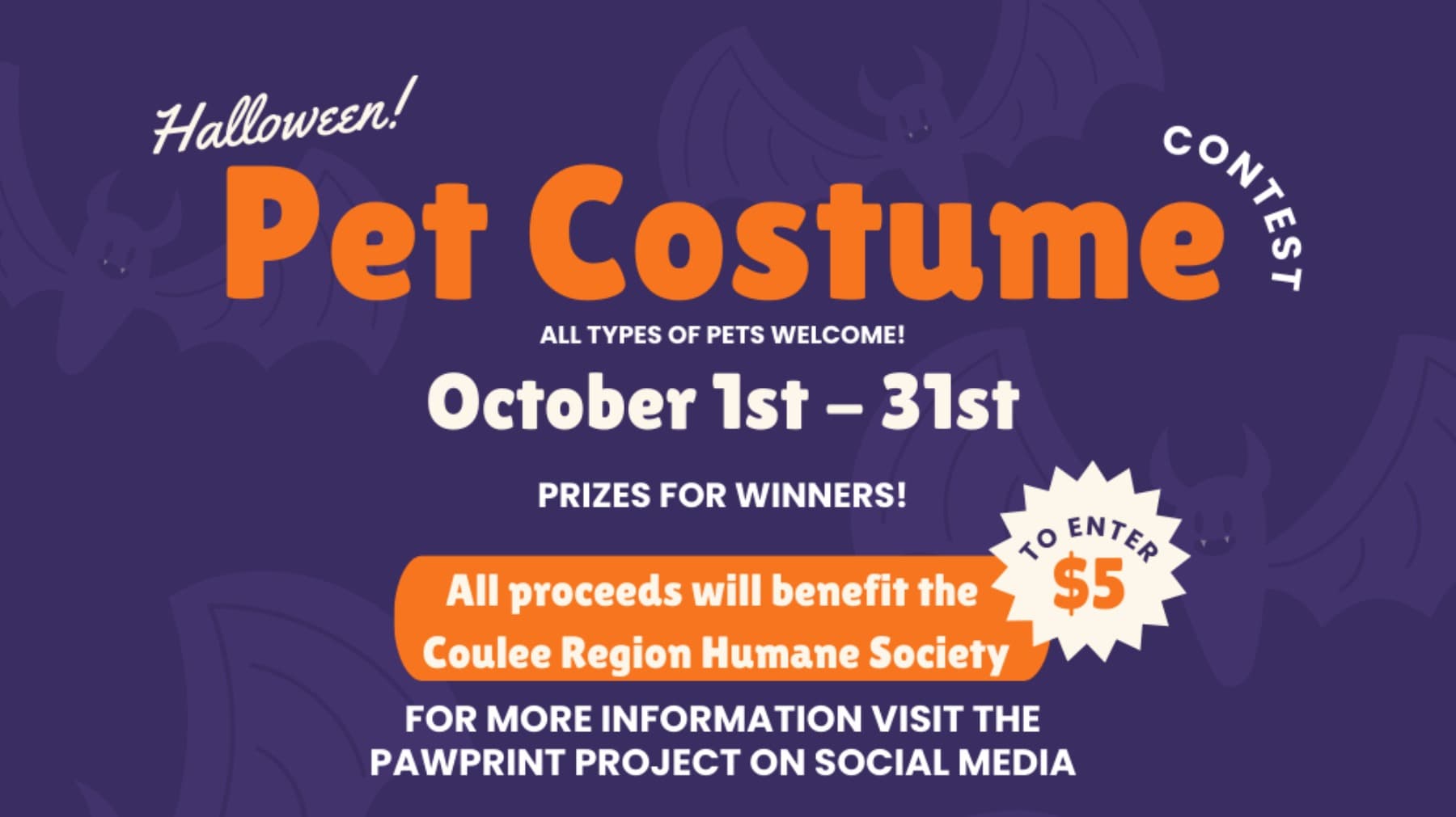 VirtualPetCostumeContest