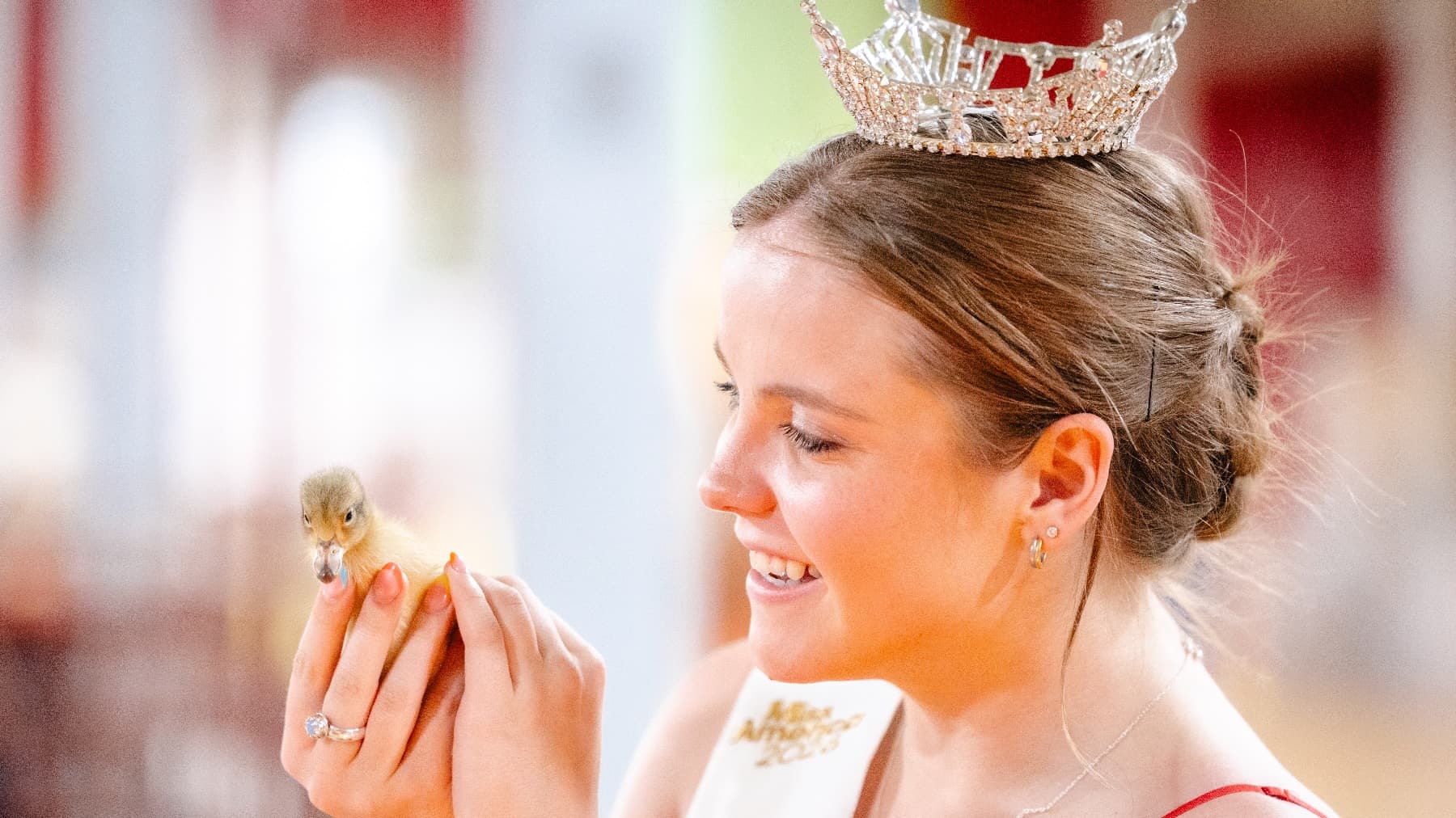 AbbyHillNorthDakota2026