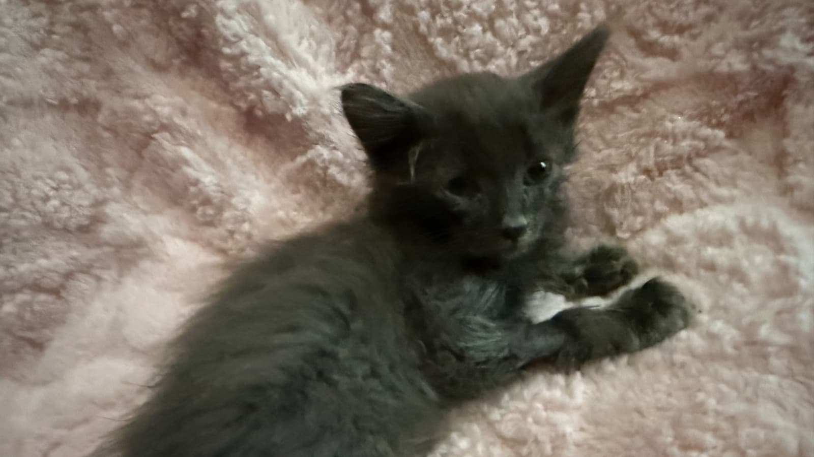 Help Edward Grow Strong: Urgent Care Needed