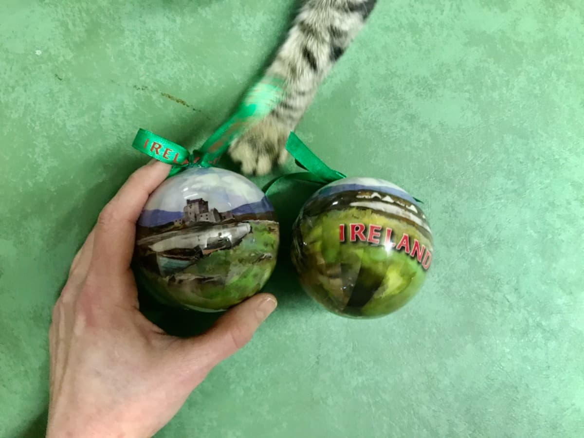 Help8WeeksTillIreland