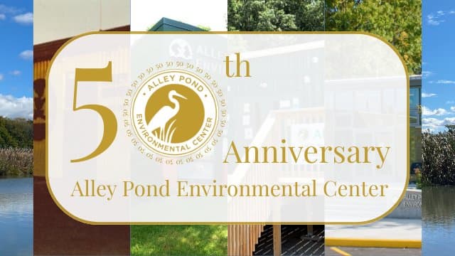 Supporting The Birds Of Alley Pond Park