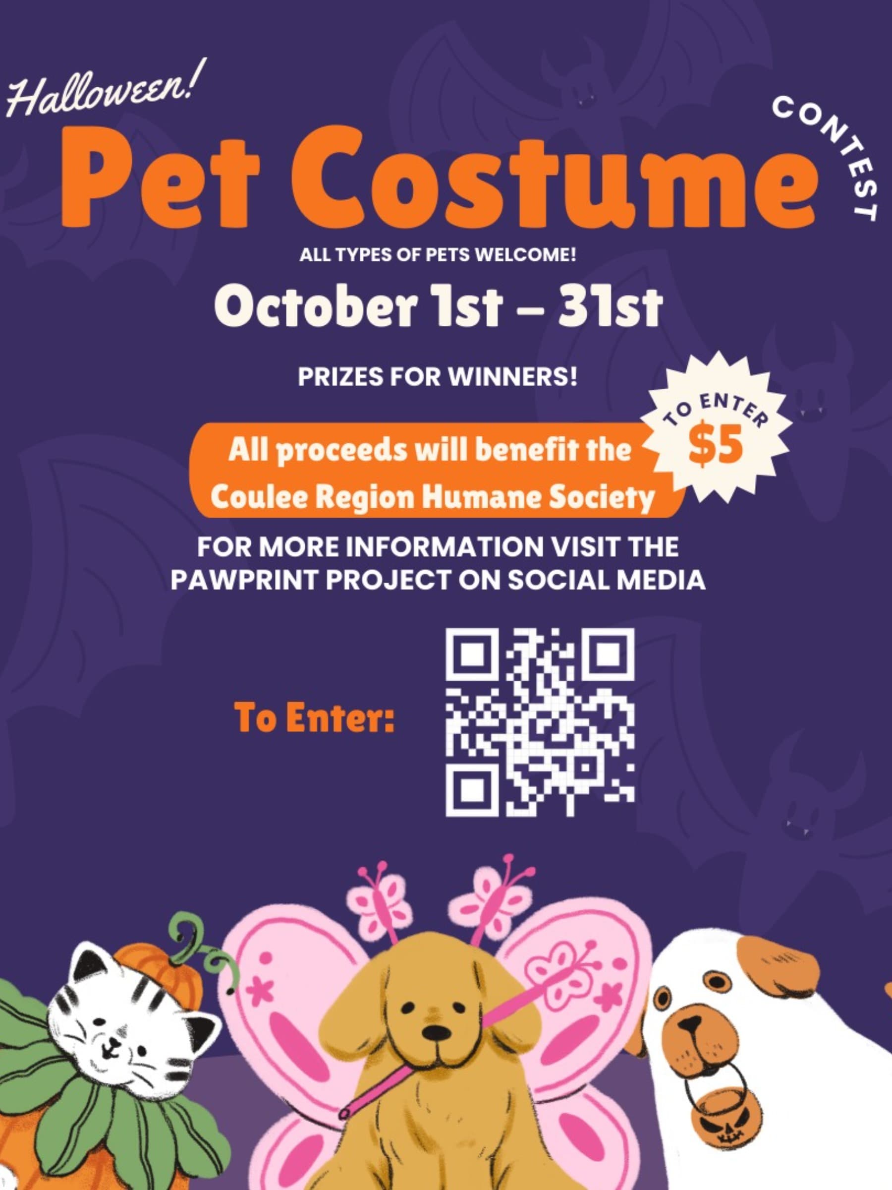 VirtualPetCostumeContest