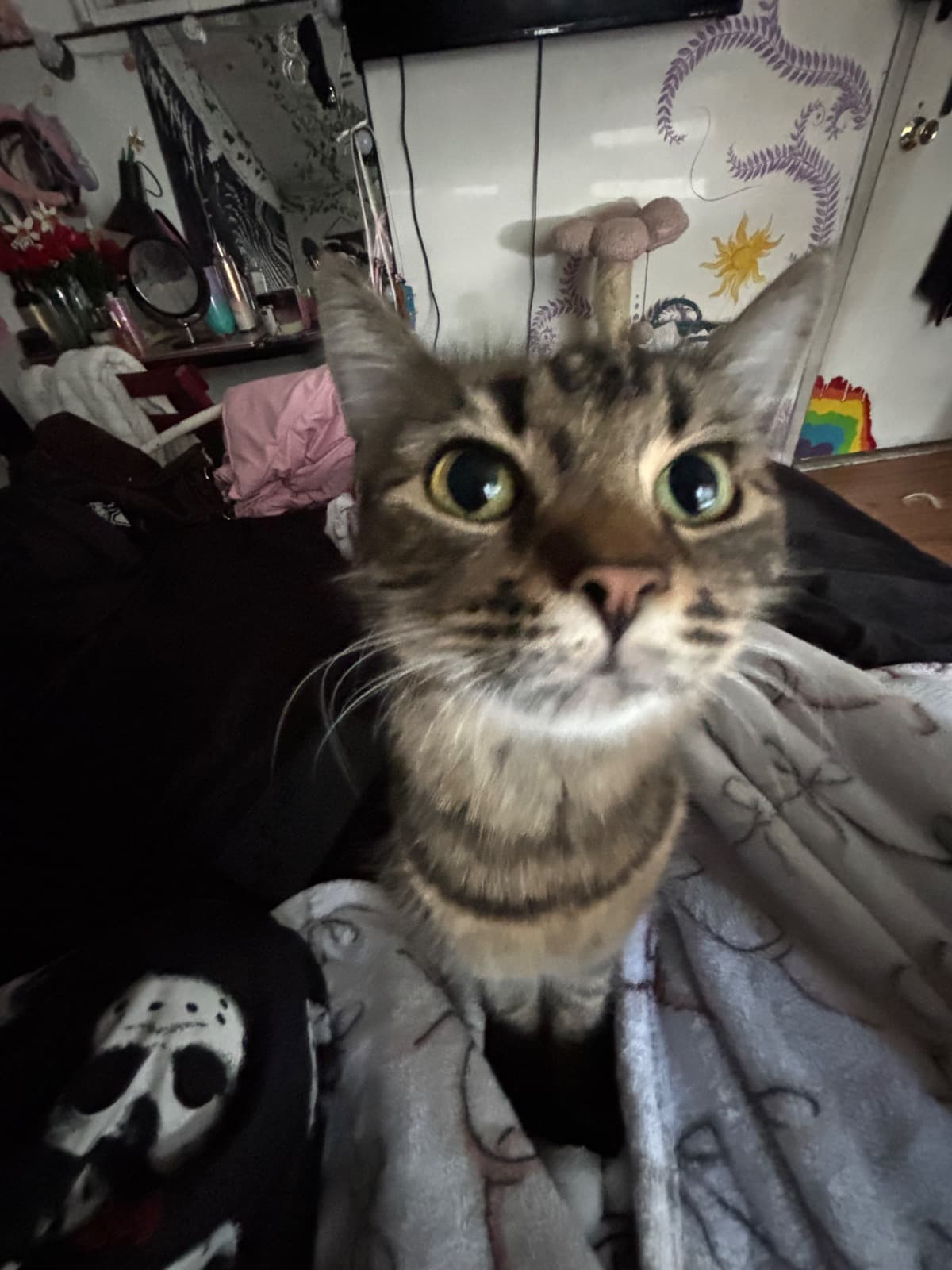 ToHelpAStrugglingTeen