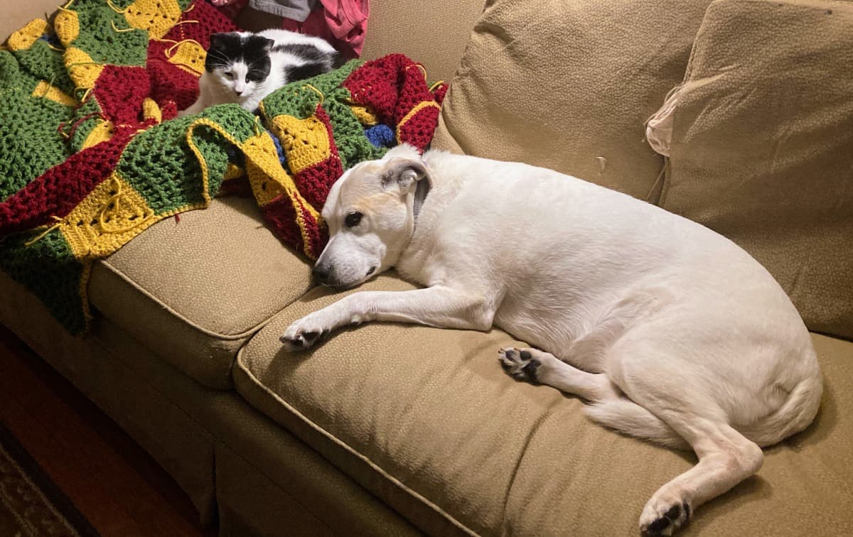 InMemoryOfMollyAndMelvin
