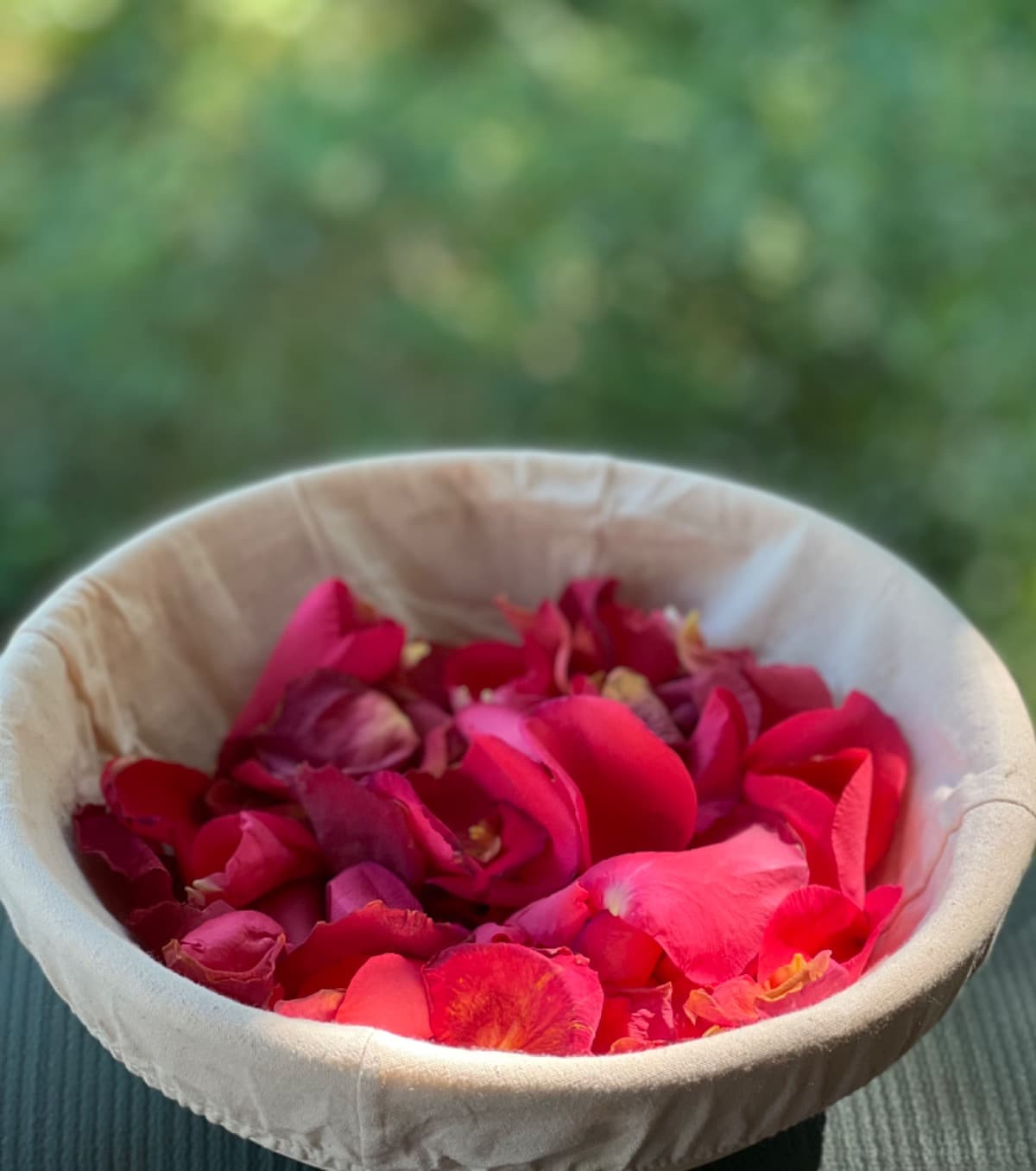 HelpFundAscendAyurvedaOfAR