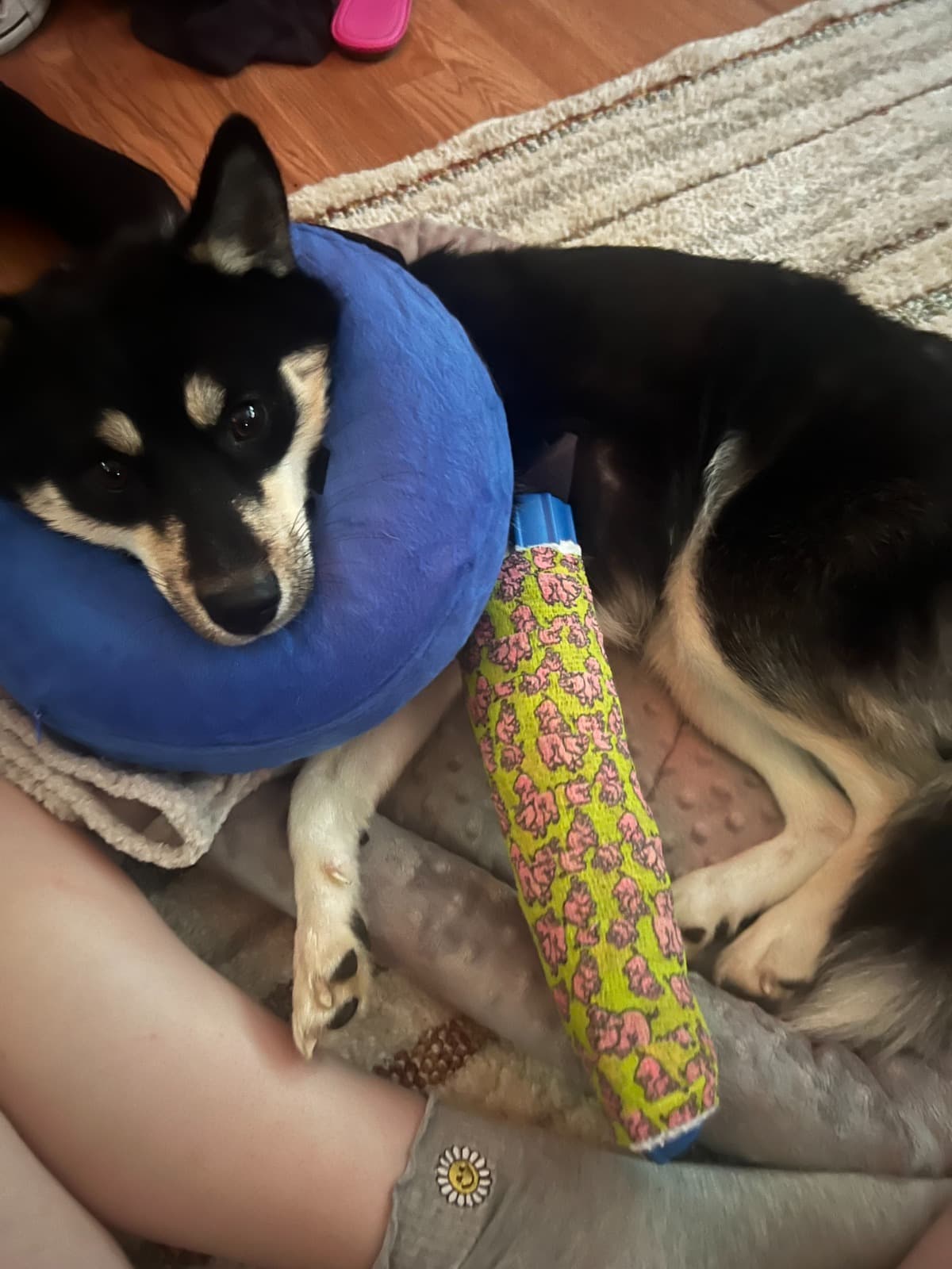NovasSurgery
