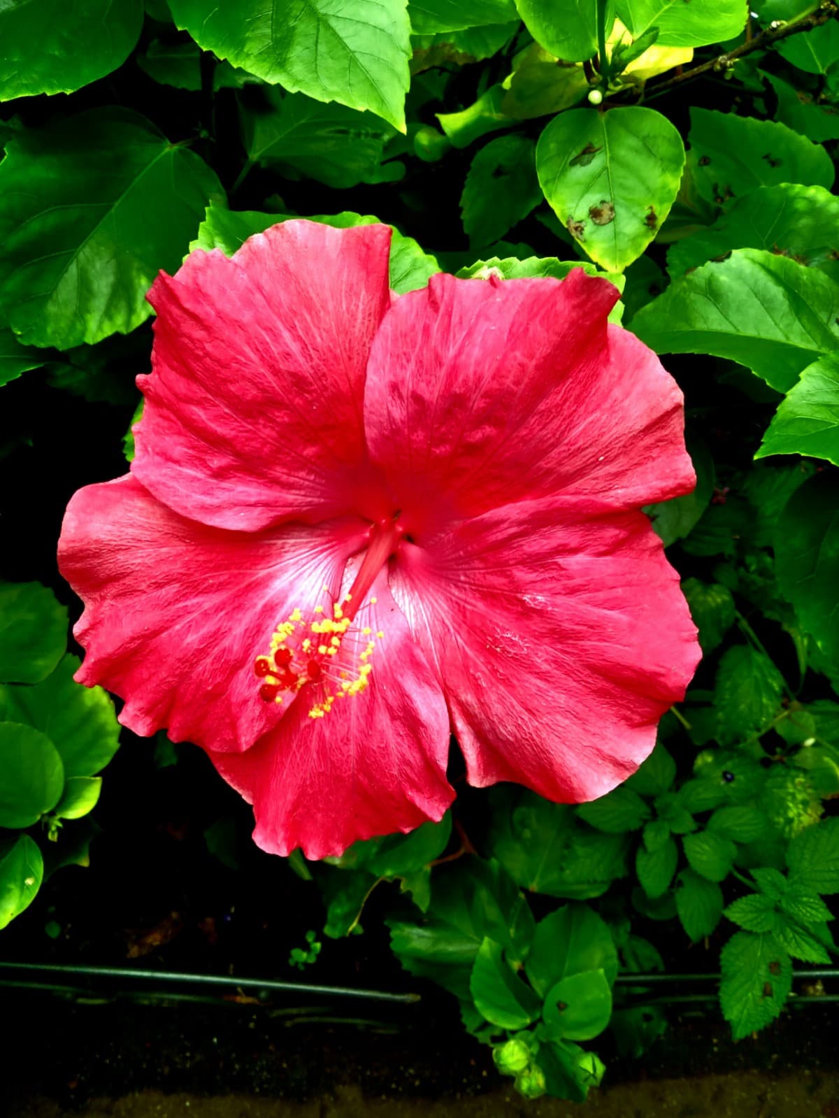 MyFriendIsPoorAndNeedsMoney