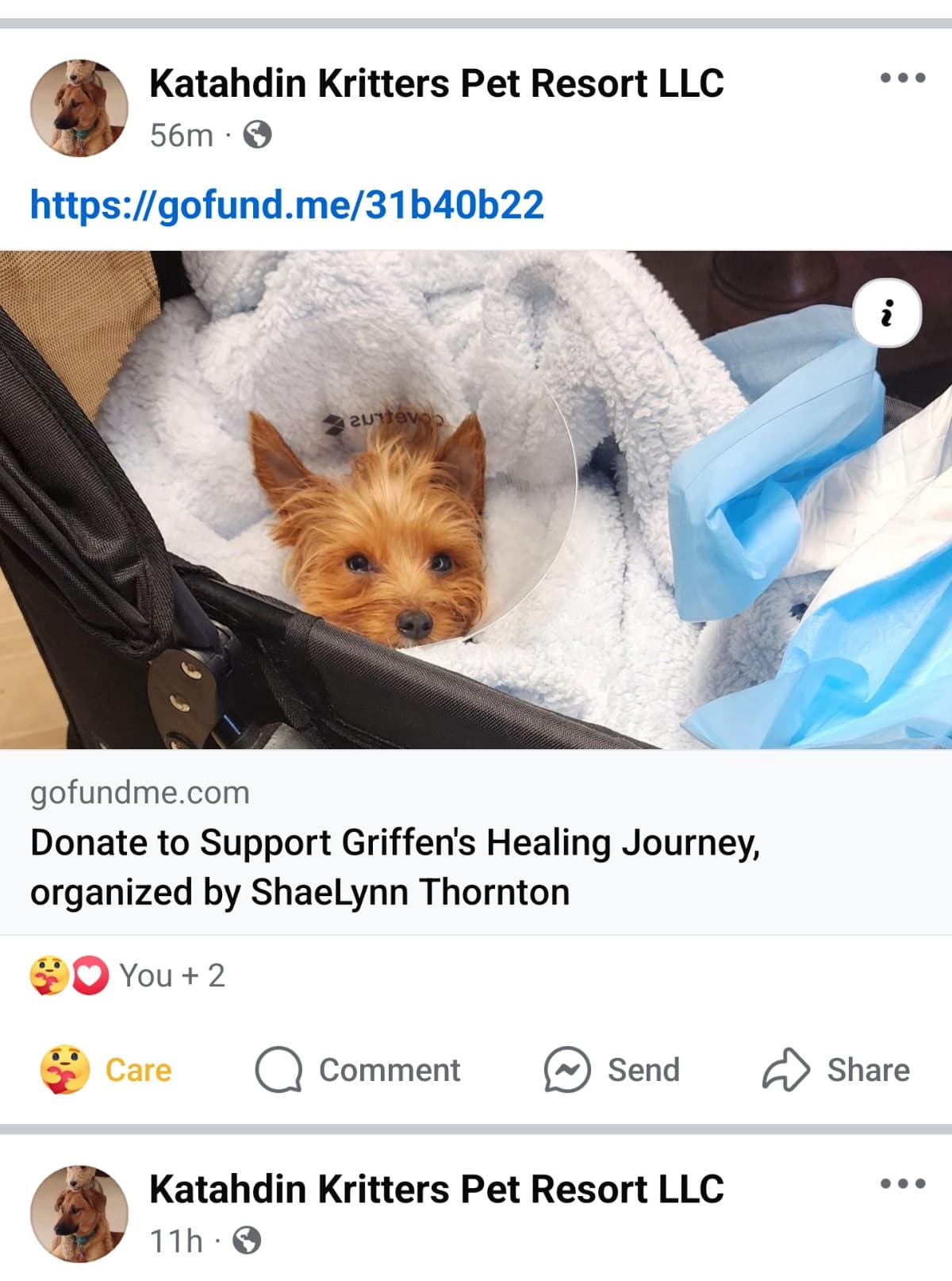 HelpSaveGriffensLife