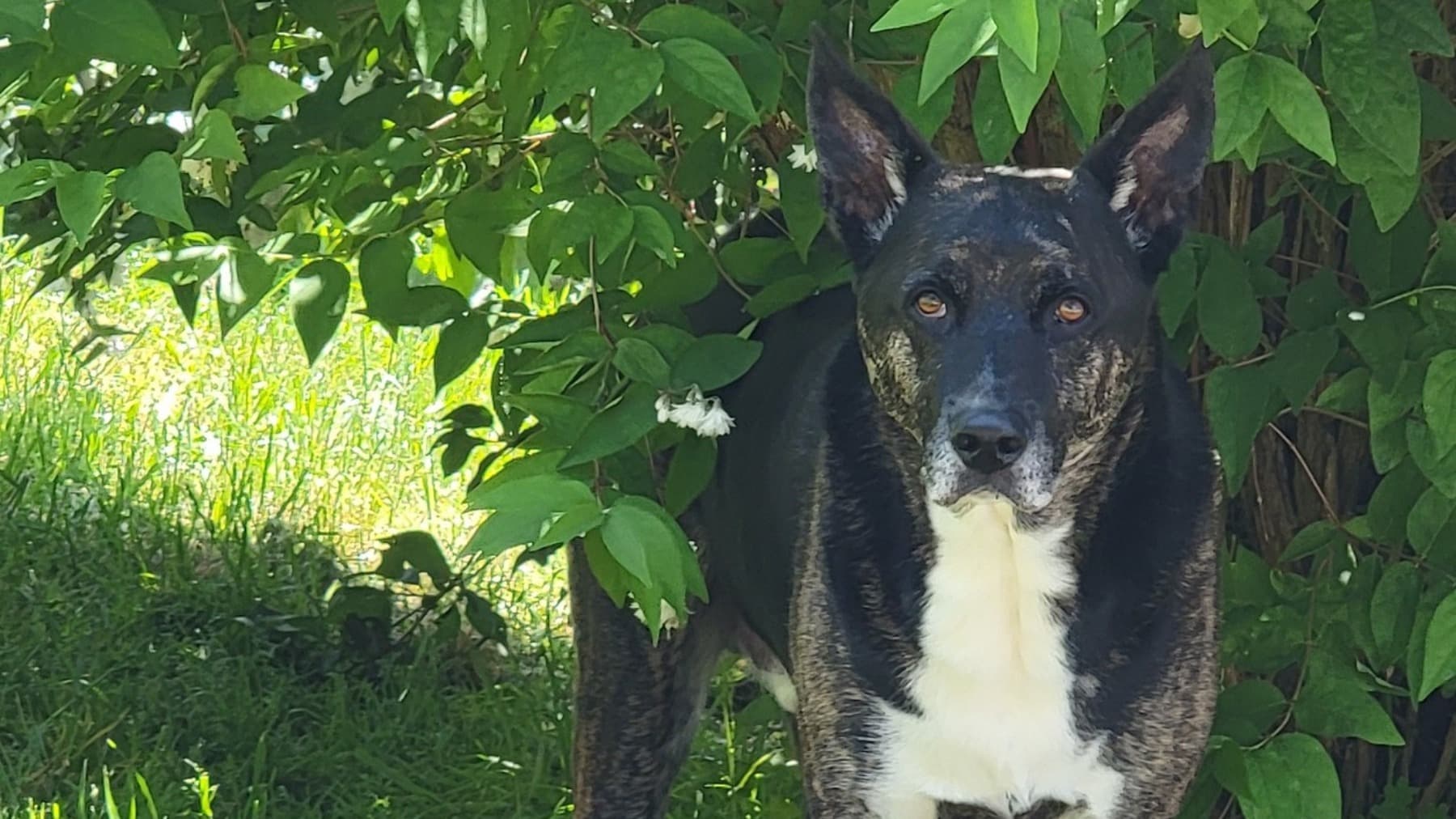 DonateToHelpFriendsInNeed