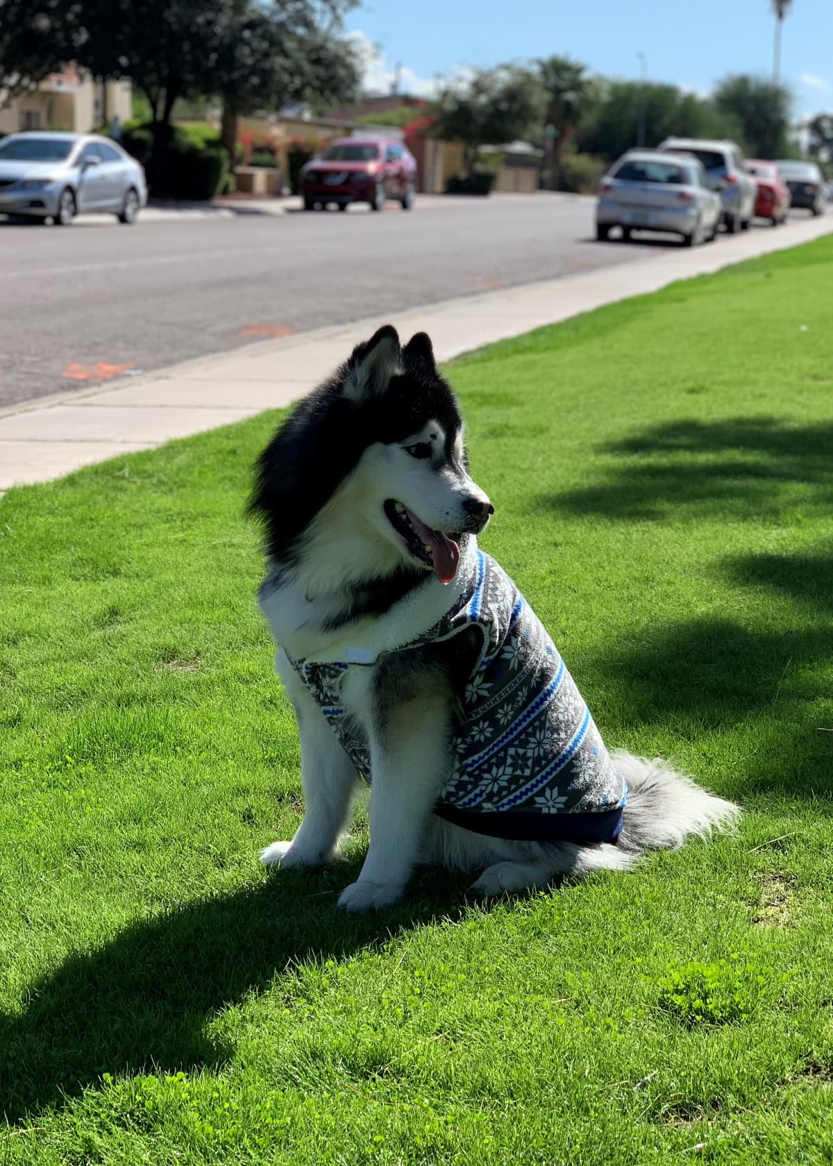 MyBabyAvalancheHasCancer