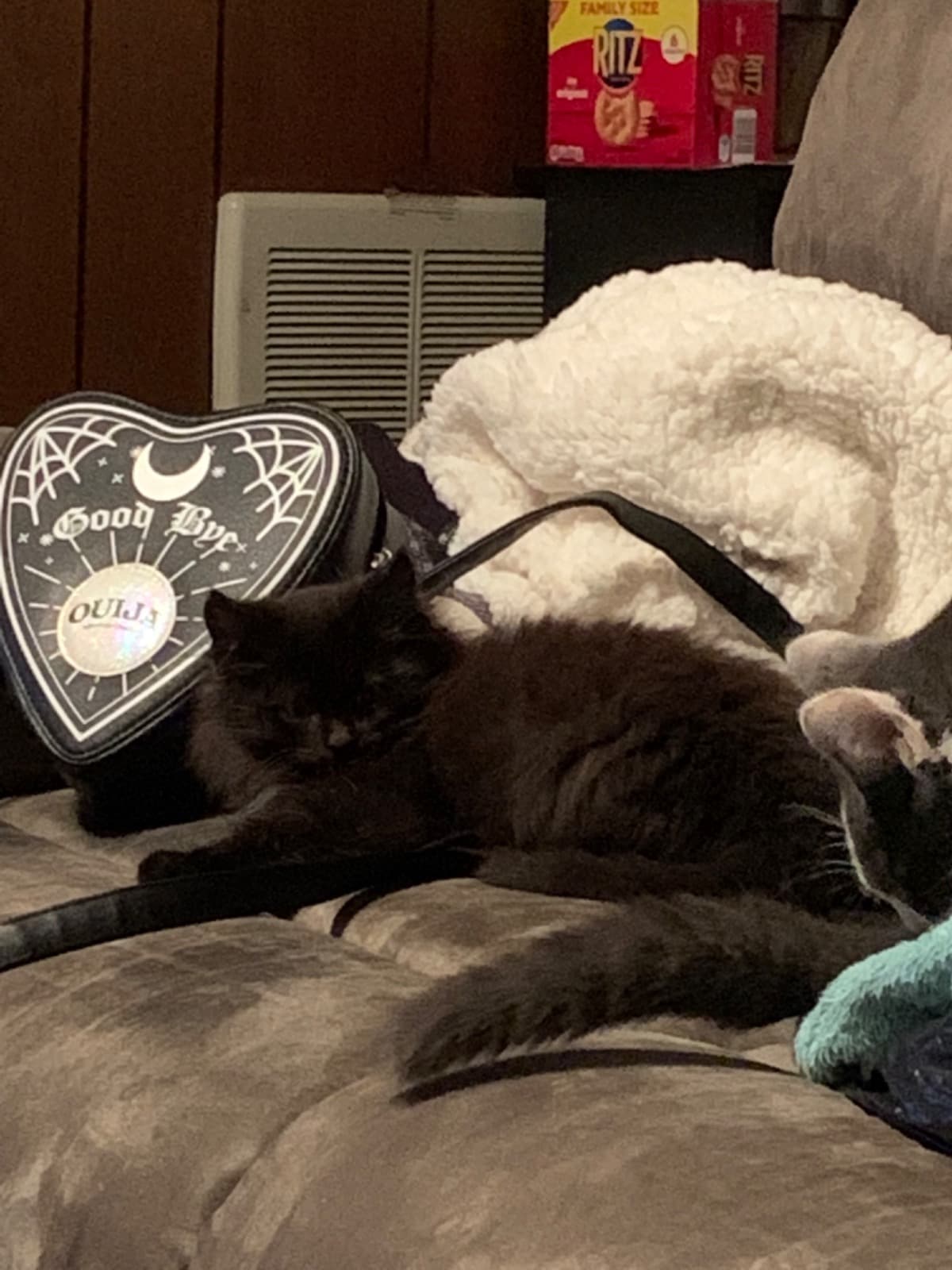 PleaseHelpMyCatBlair