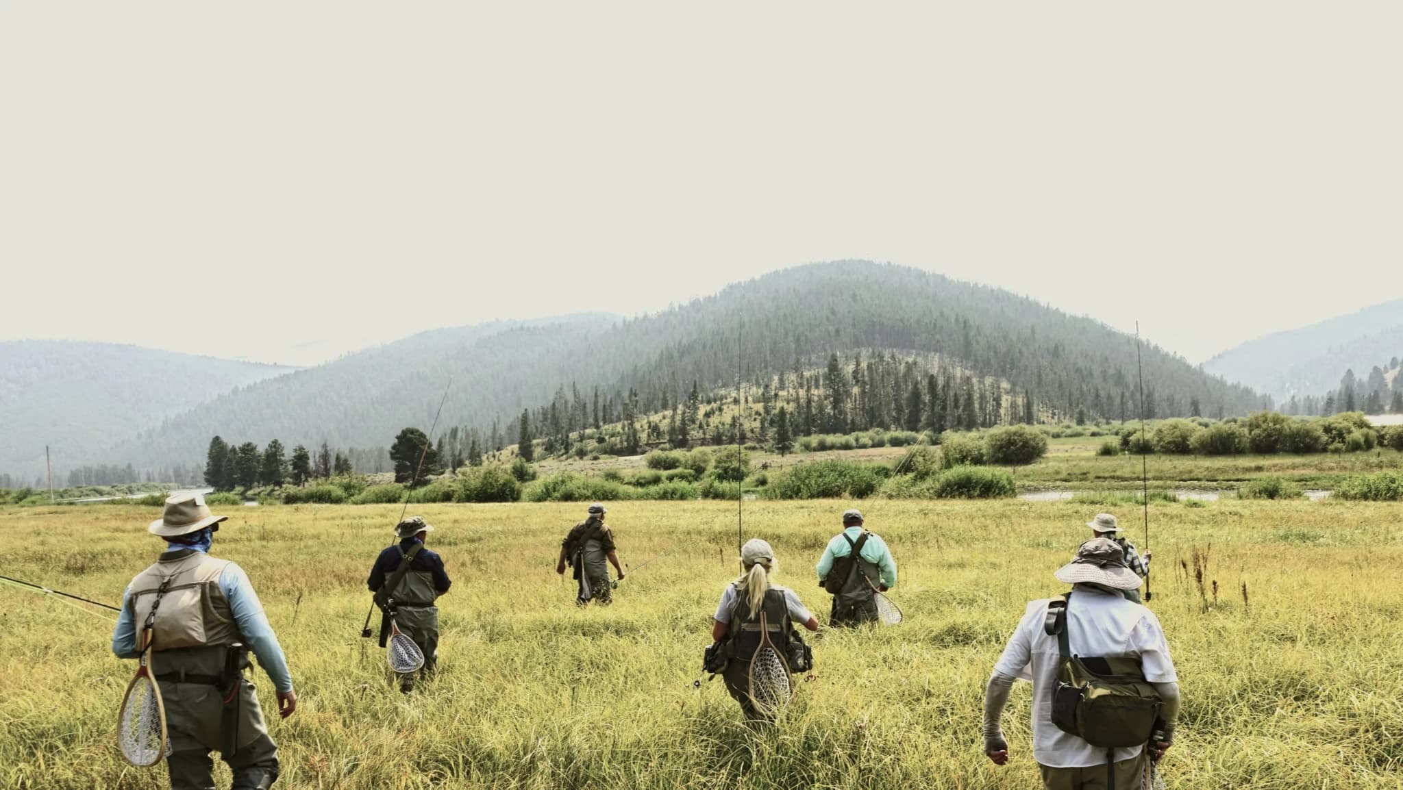 Peaks With A Purpose