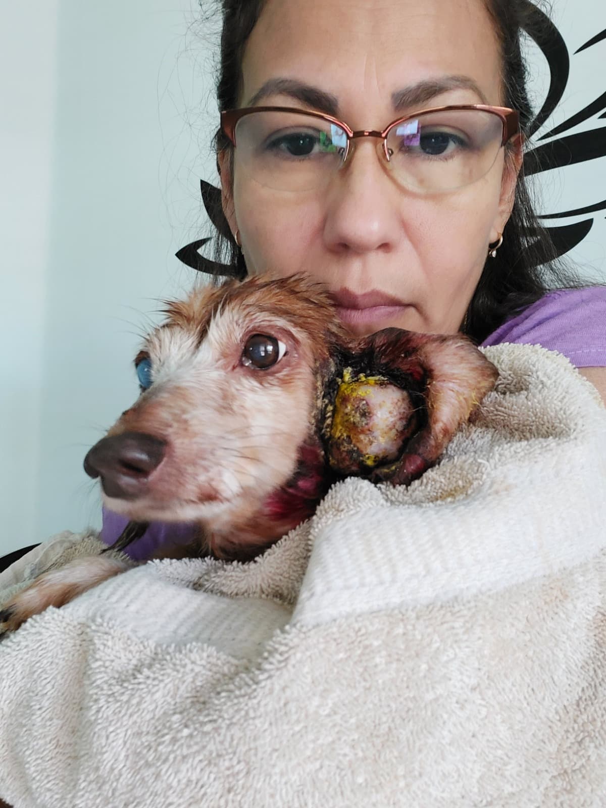 PennyNeedsurgery