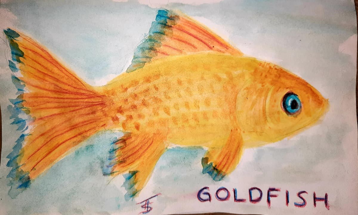 WinMy100AnimalsSketchbook