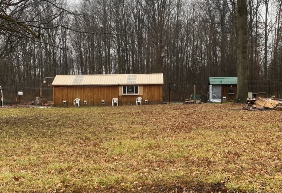 SavingASanctuary