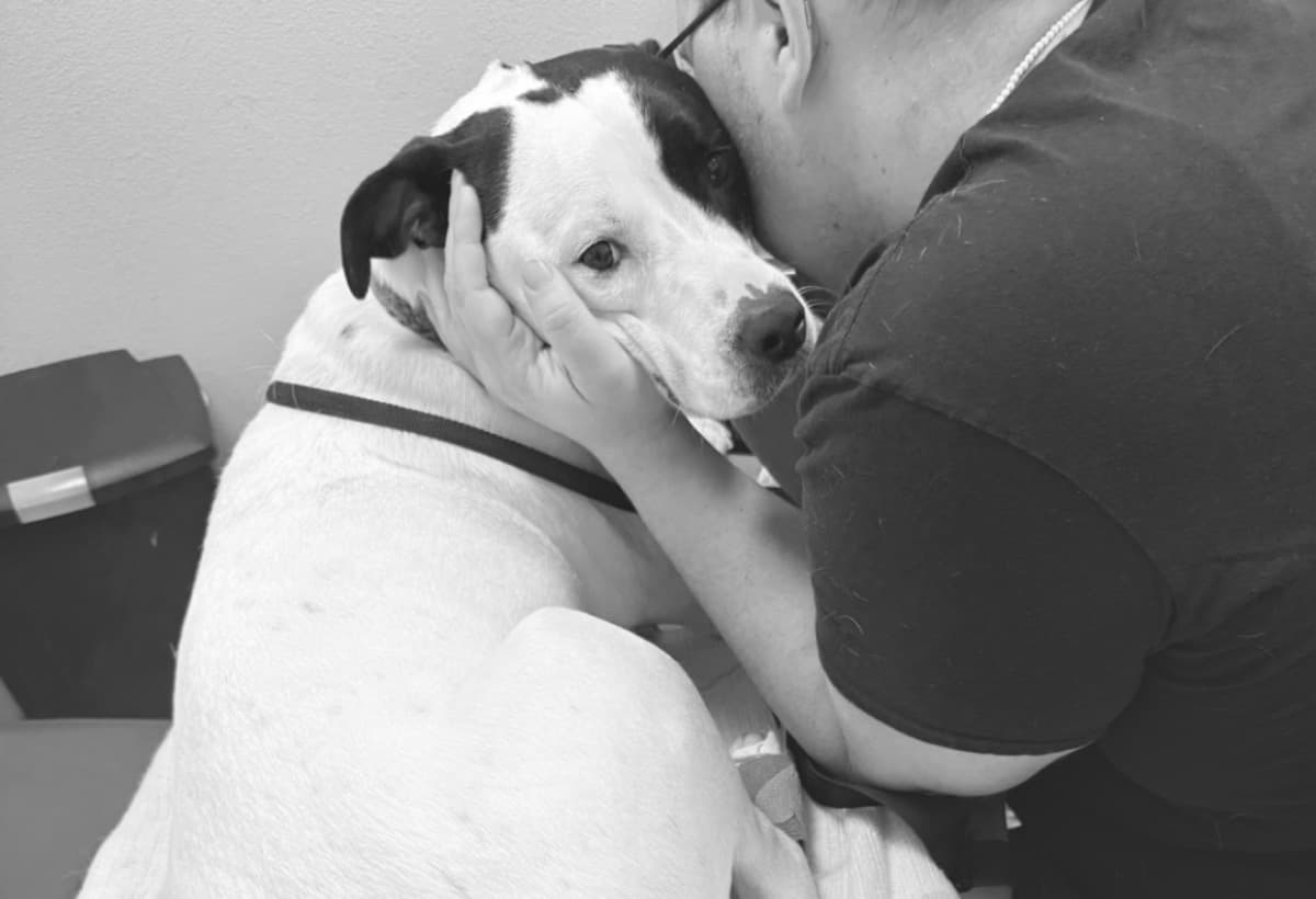 VetBillsForMyDogPeaches