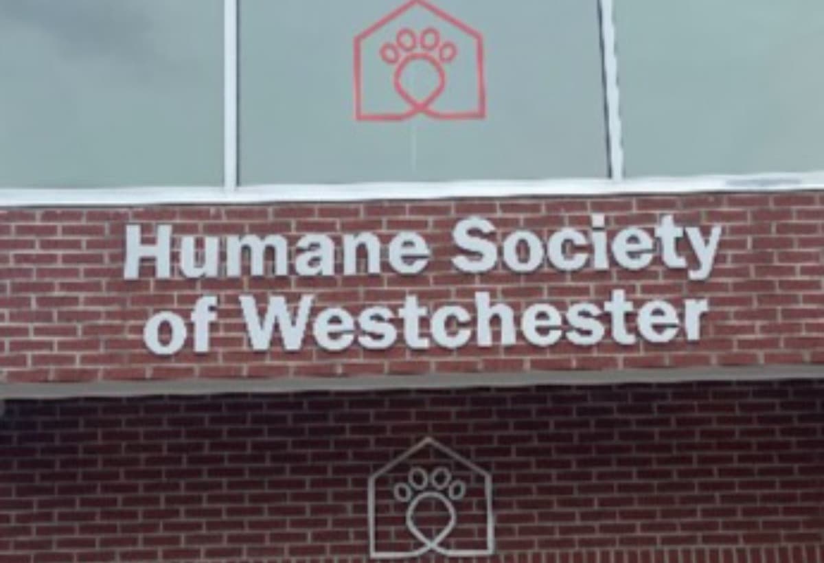 HumaneSocietyOfWestchester