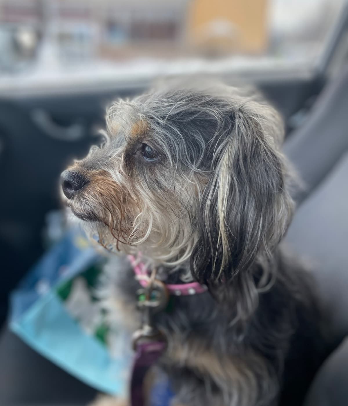 ZaidaAndPixie