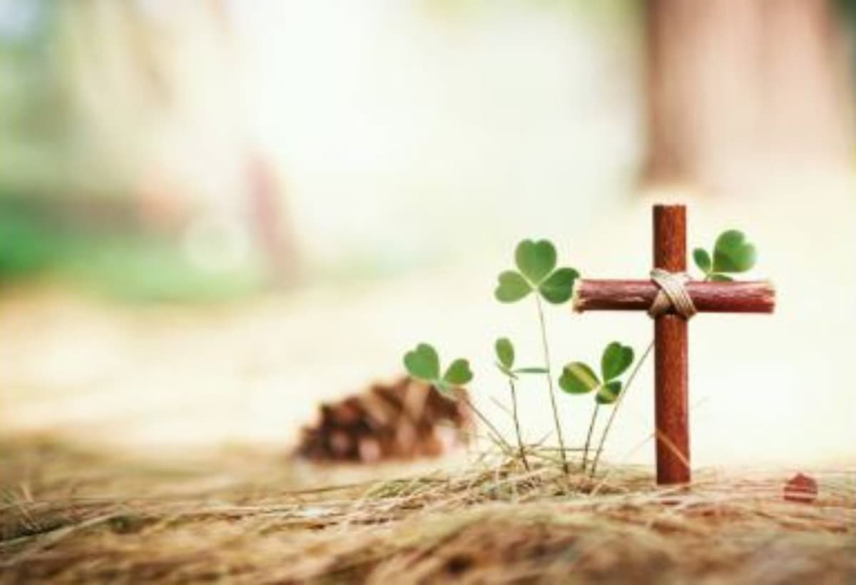 JosephMBlakeJrInHisMemory