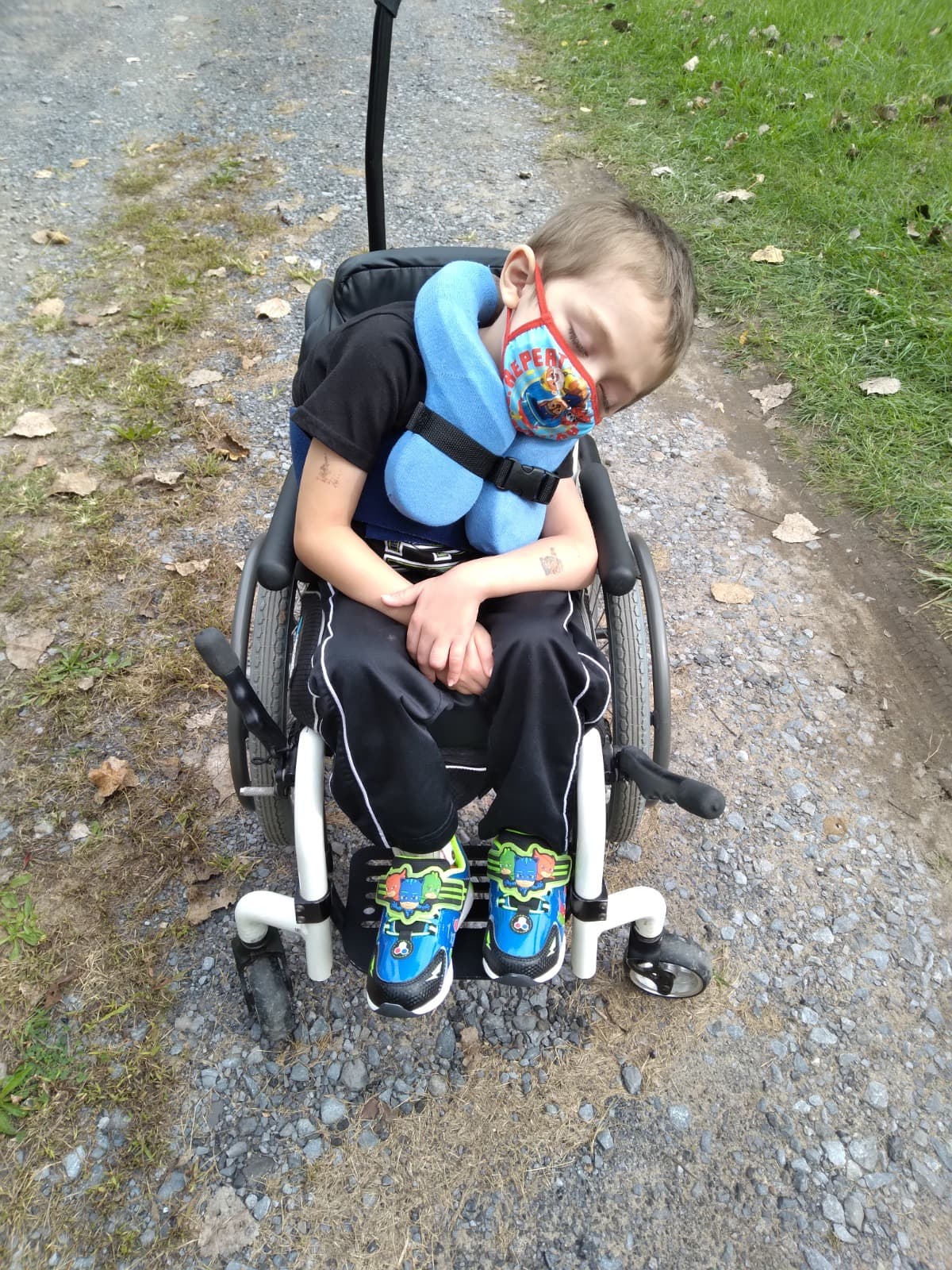 AccessableWheelchairVanForSon