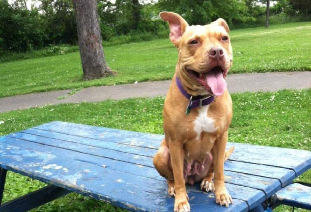 MyOnlyFriendCarmellaIsDying