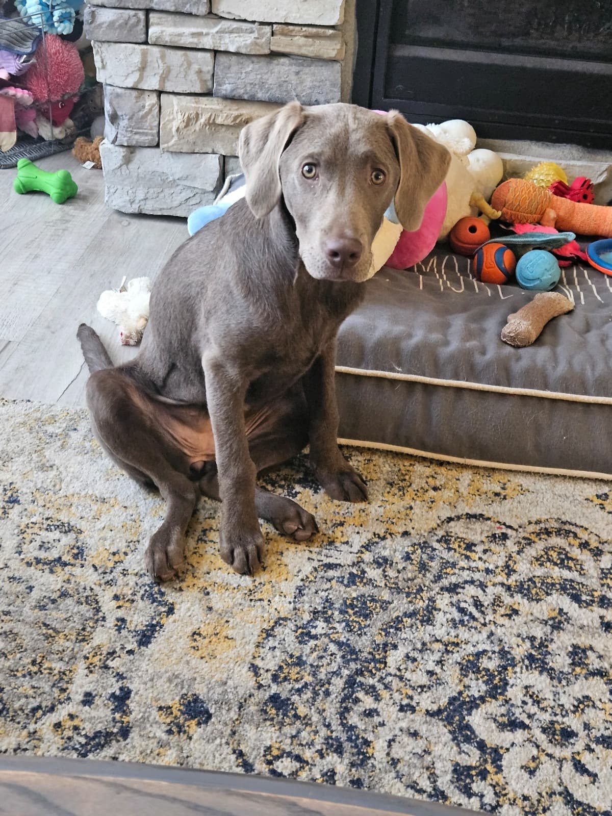 LunasLifeSavingSurgery