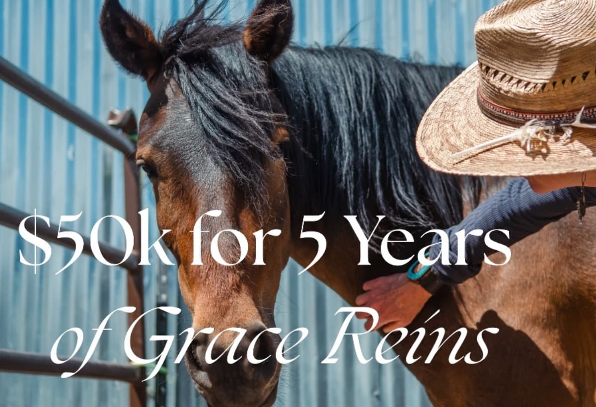 50kFor5YearsOfGraceReins