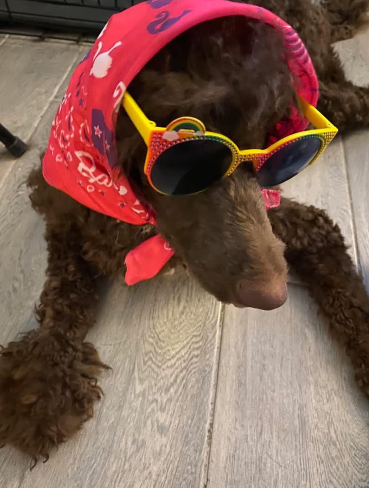 RhaenyraThePoodleAndDaenerys