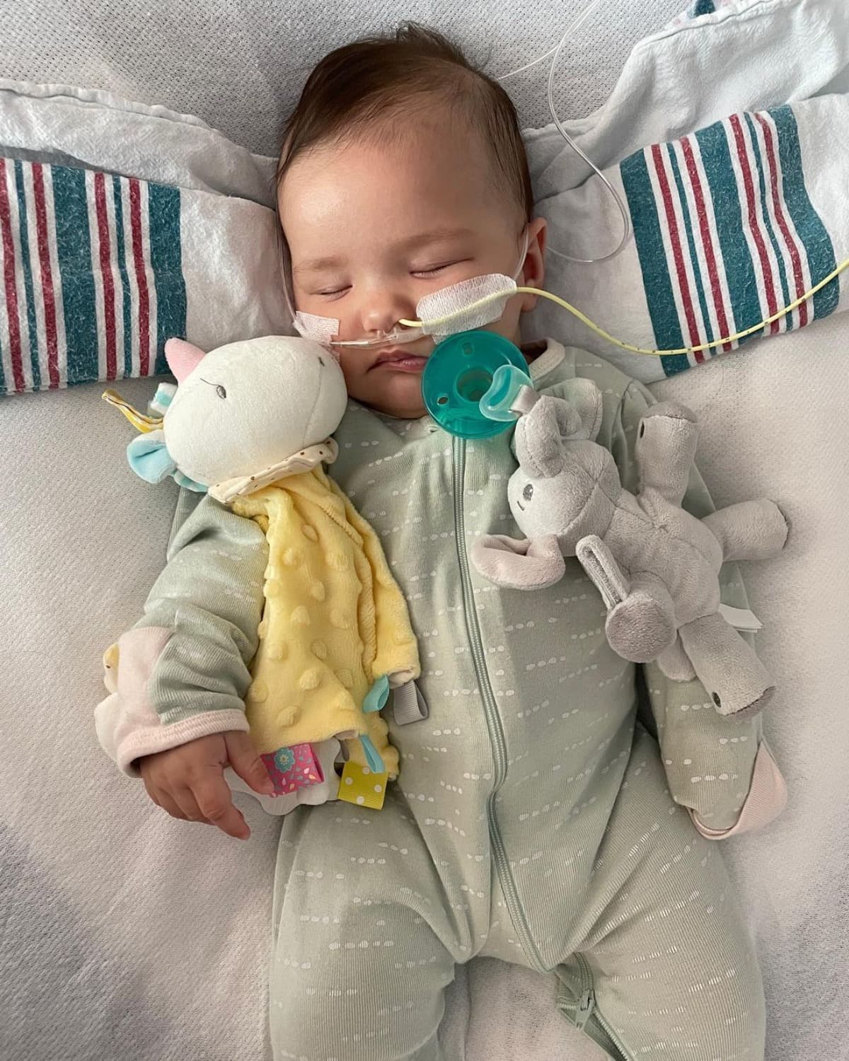 FamilyFundForTheMurdens