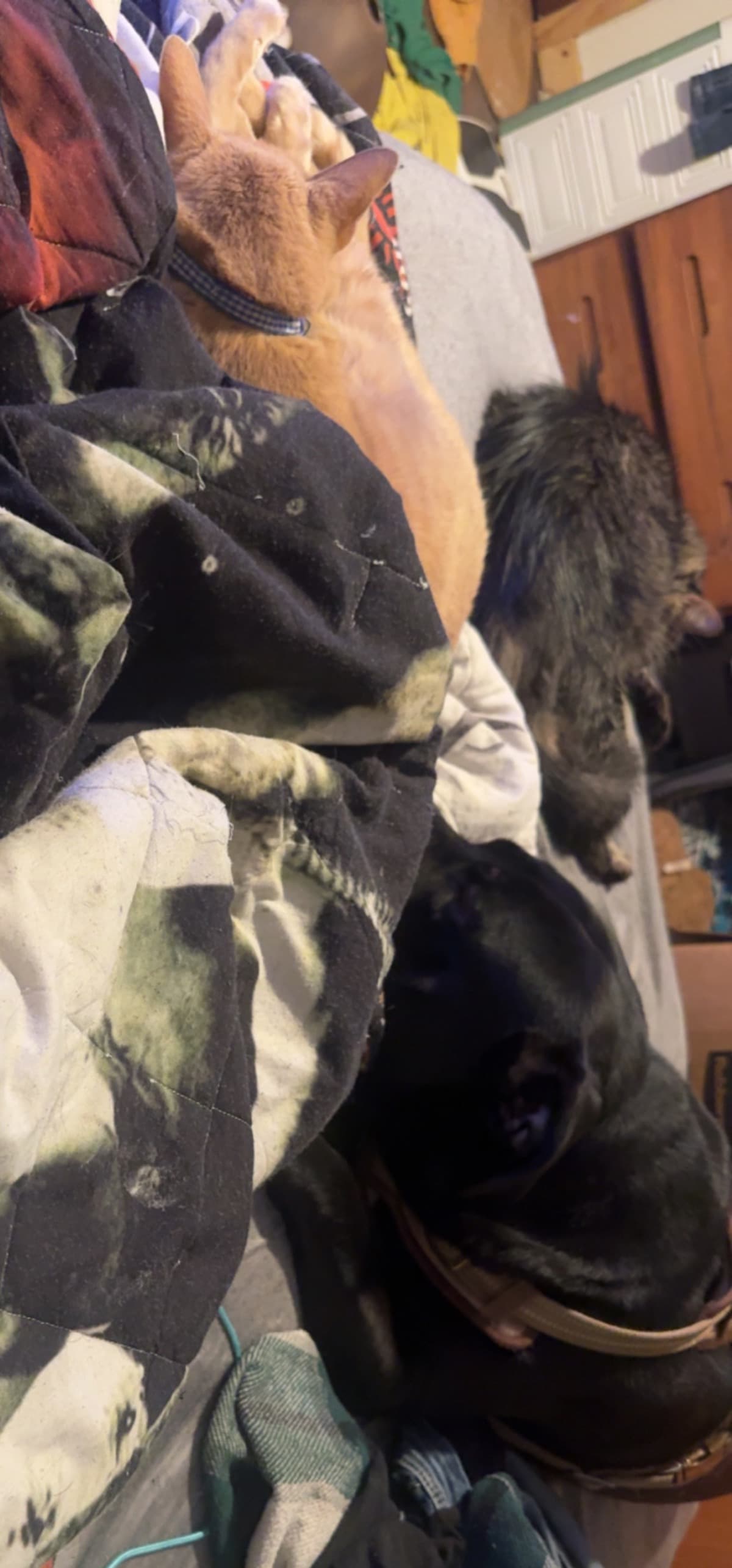 AHouseForHopeKeepingMy