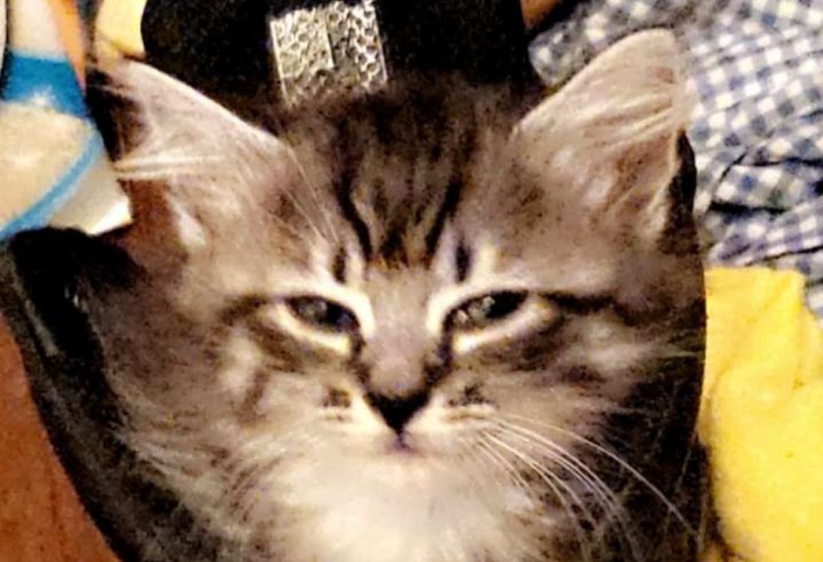 HelpMimiWithHerFracture