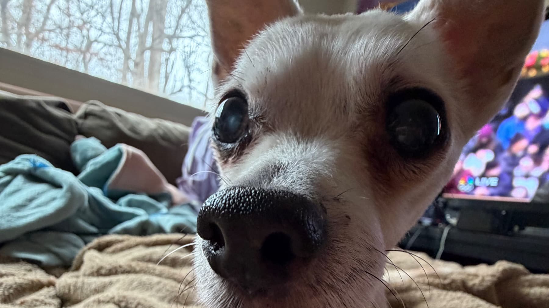 Hep Me Get My Vr Back