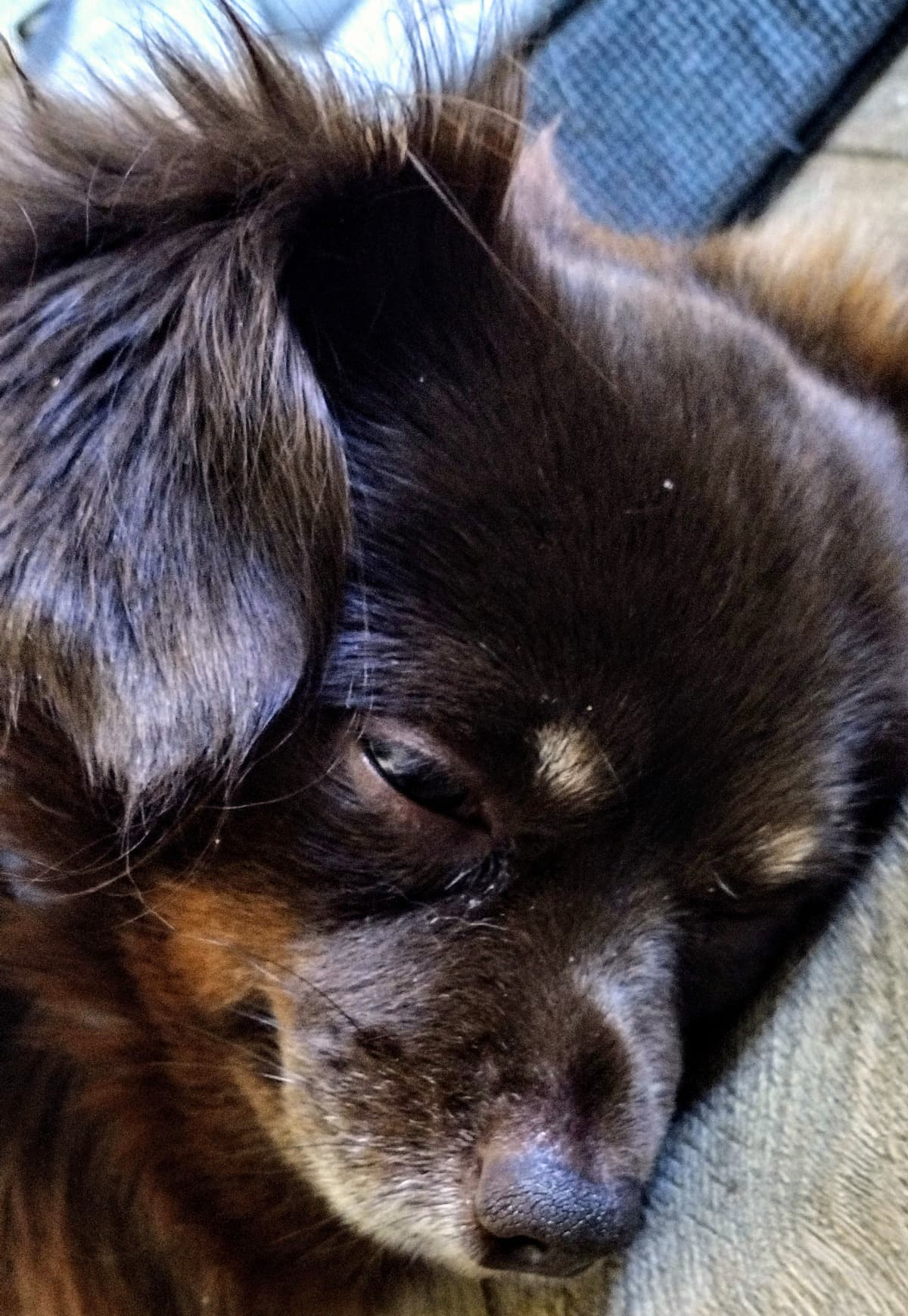 MedicalTreatmentForCooper