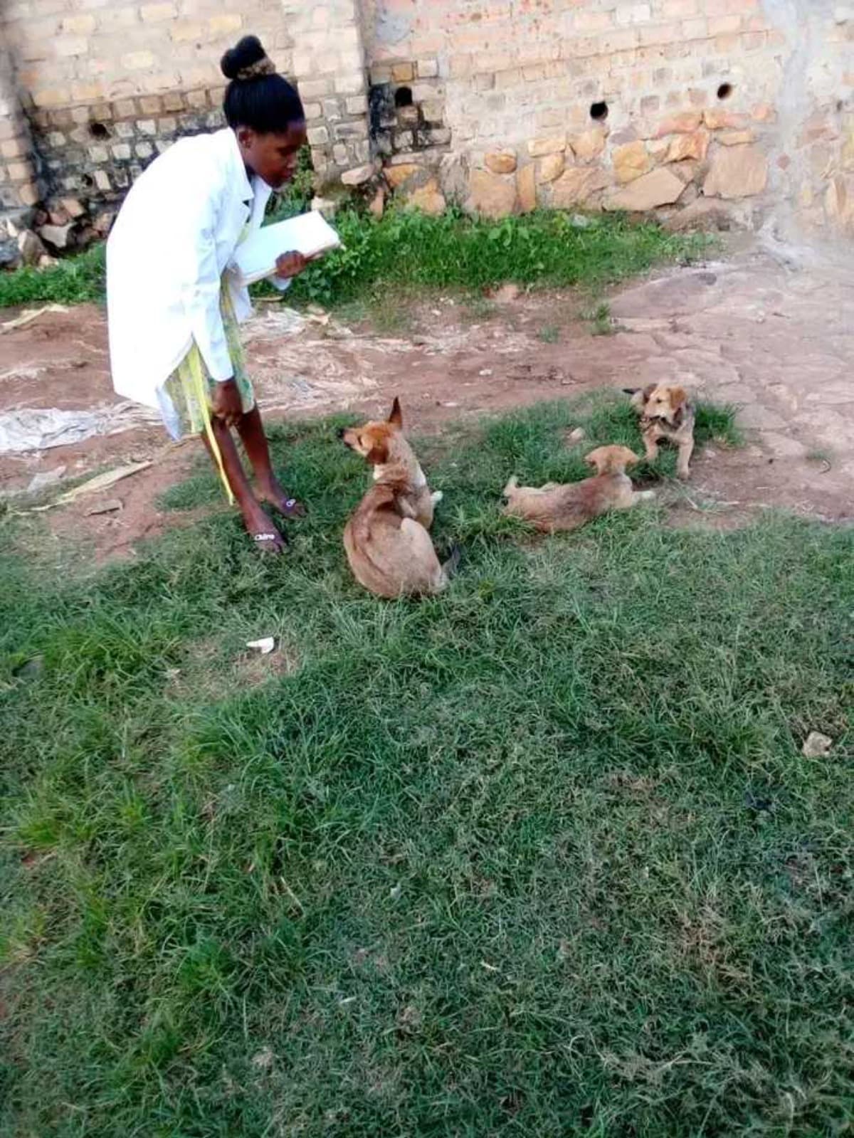 HelpLoveDogCareUnitUganda