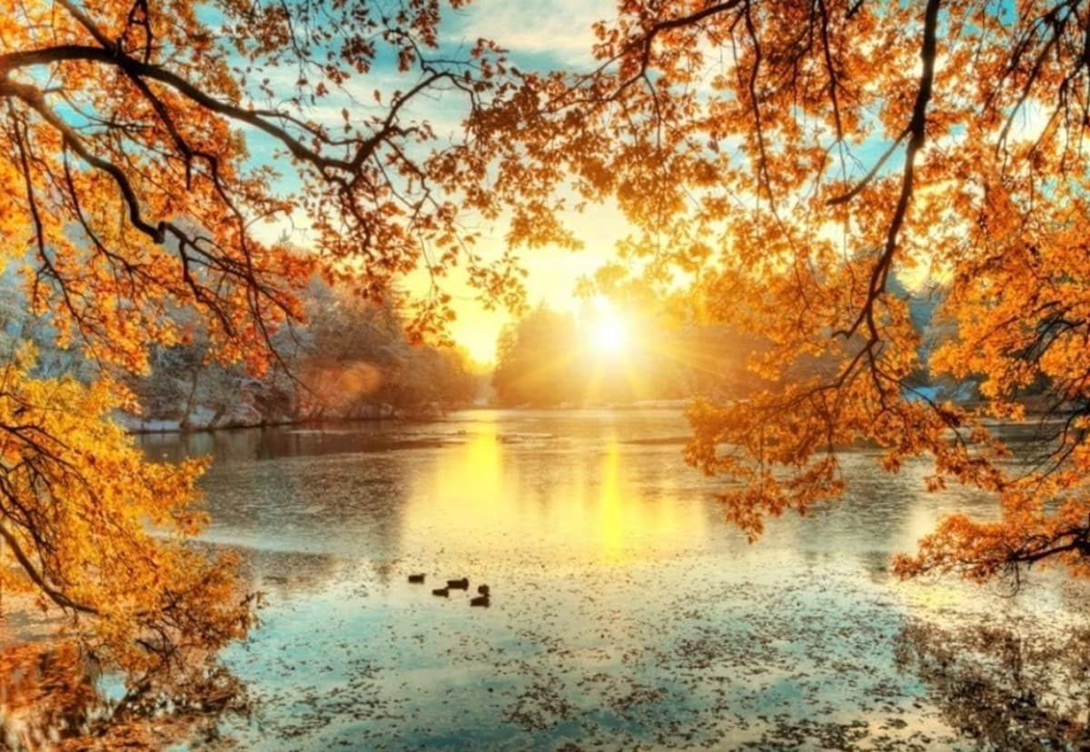 DevotedFatherBattlingCancer