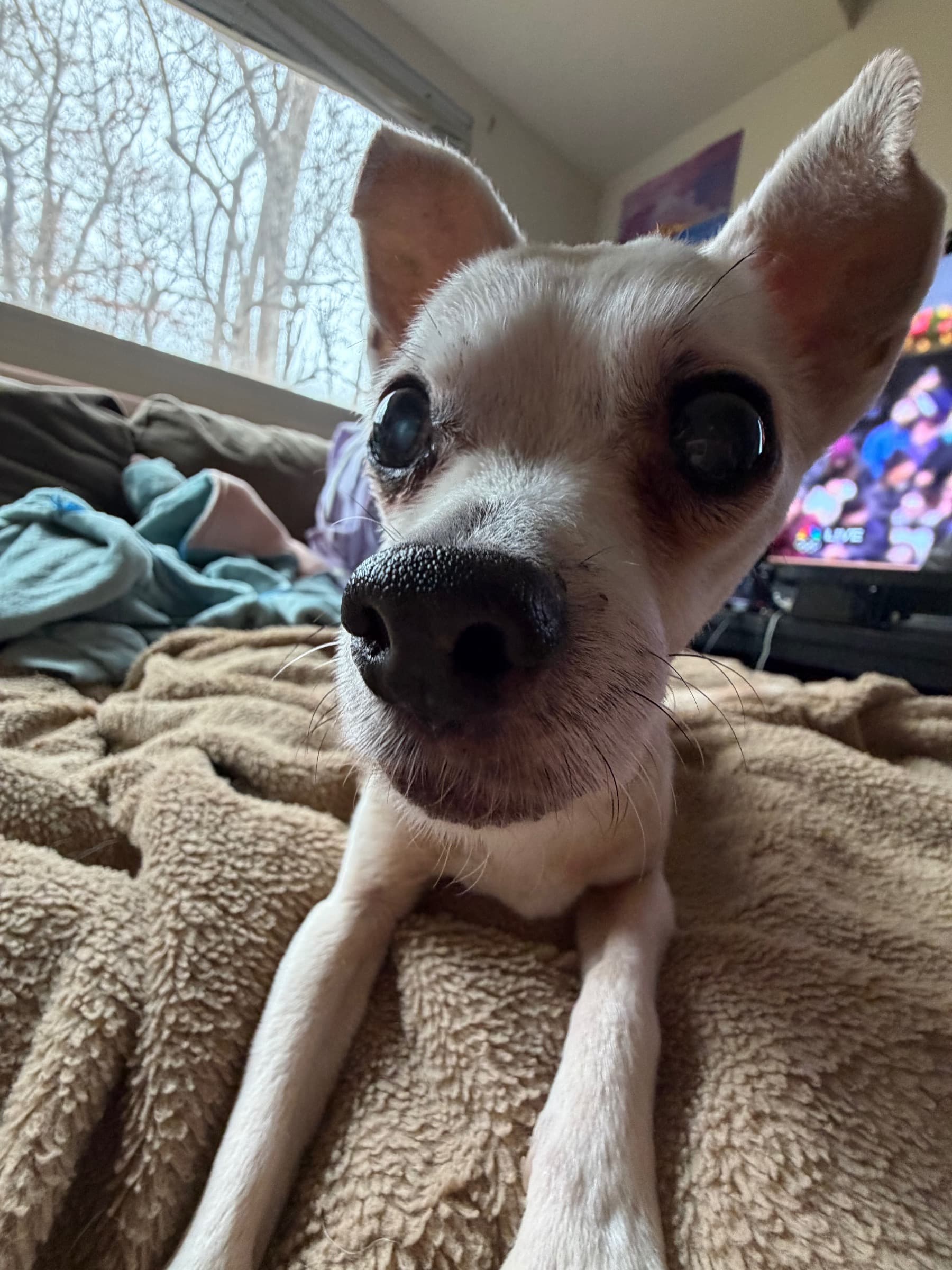 Hep Me Get My Vr Back