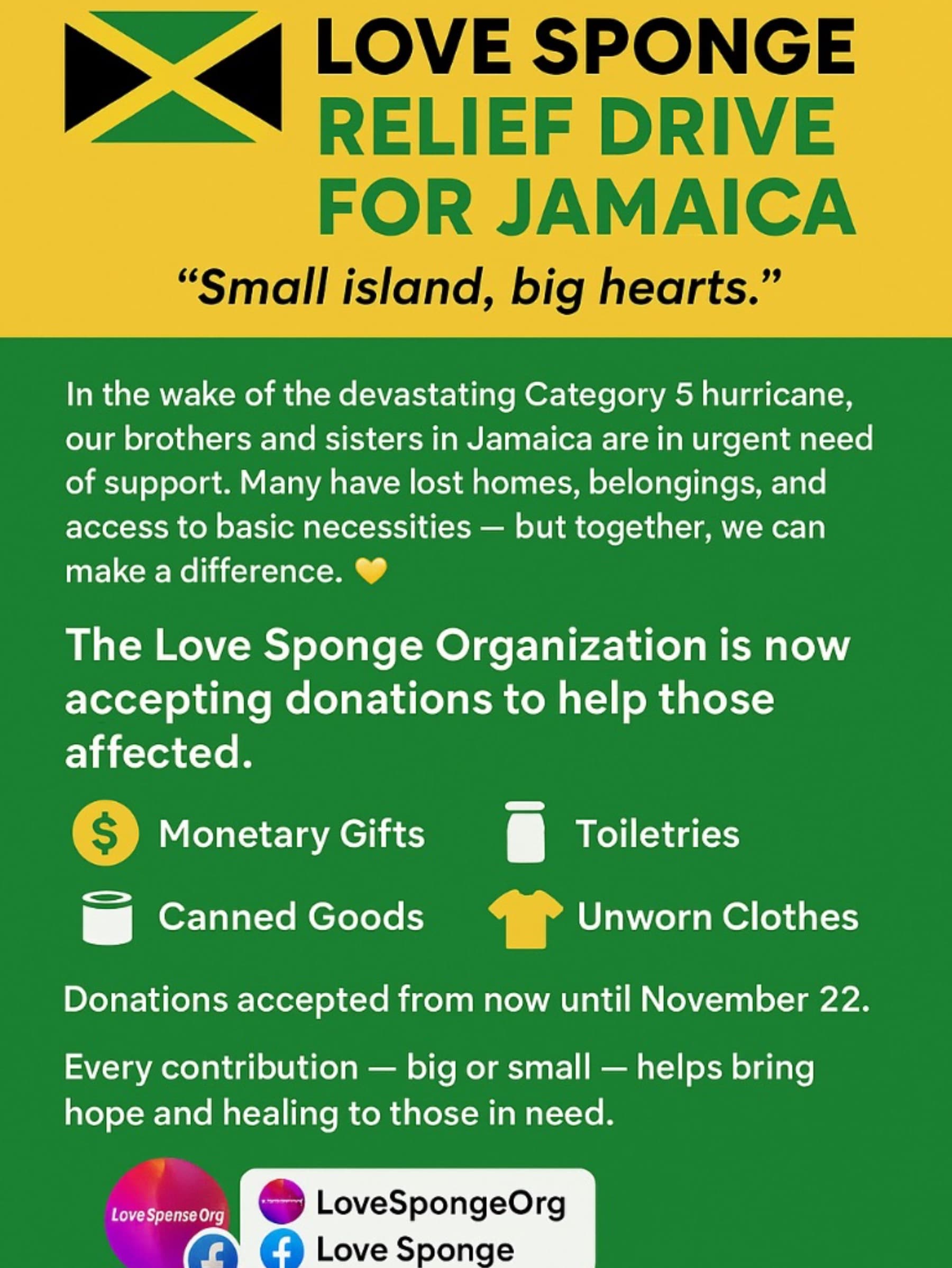 LovespongeOrgGivesBack