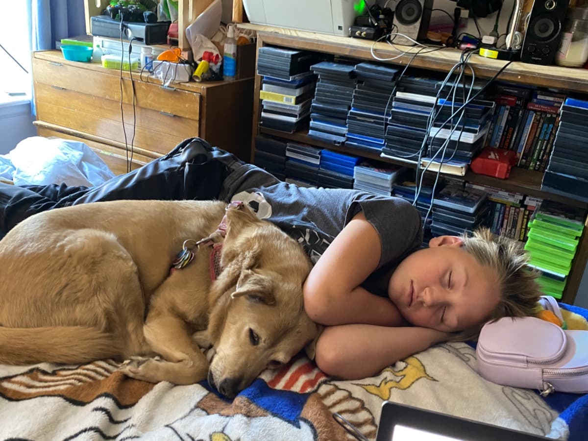 NewTherapyDog