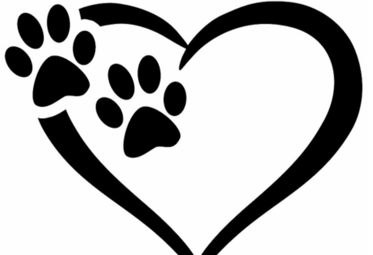 PuppyProtectionProgram