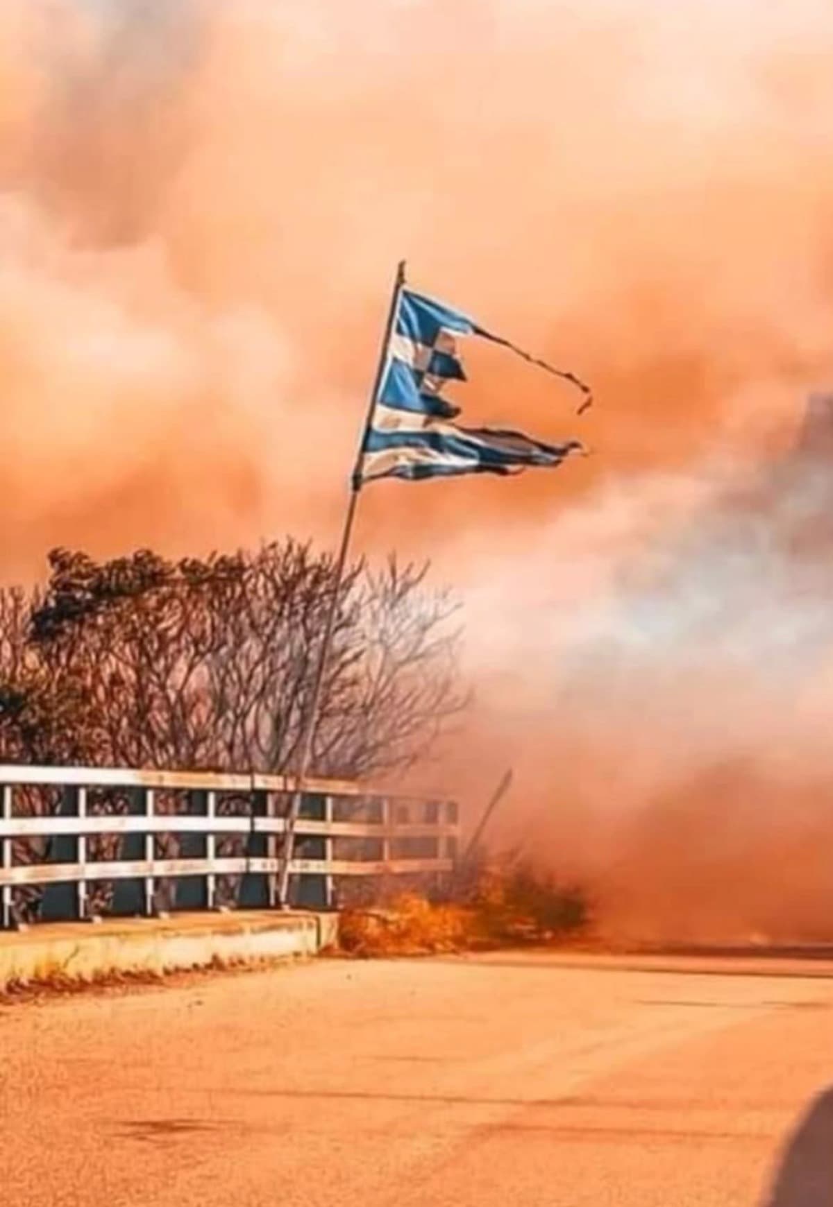 WildfiresNortheasternGreece