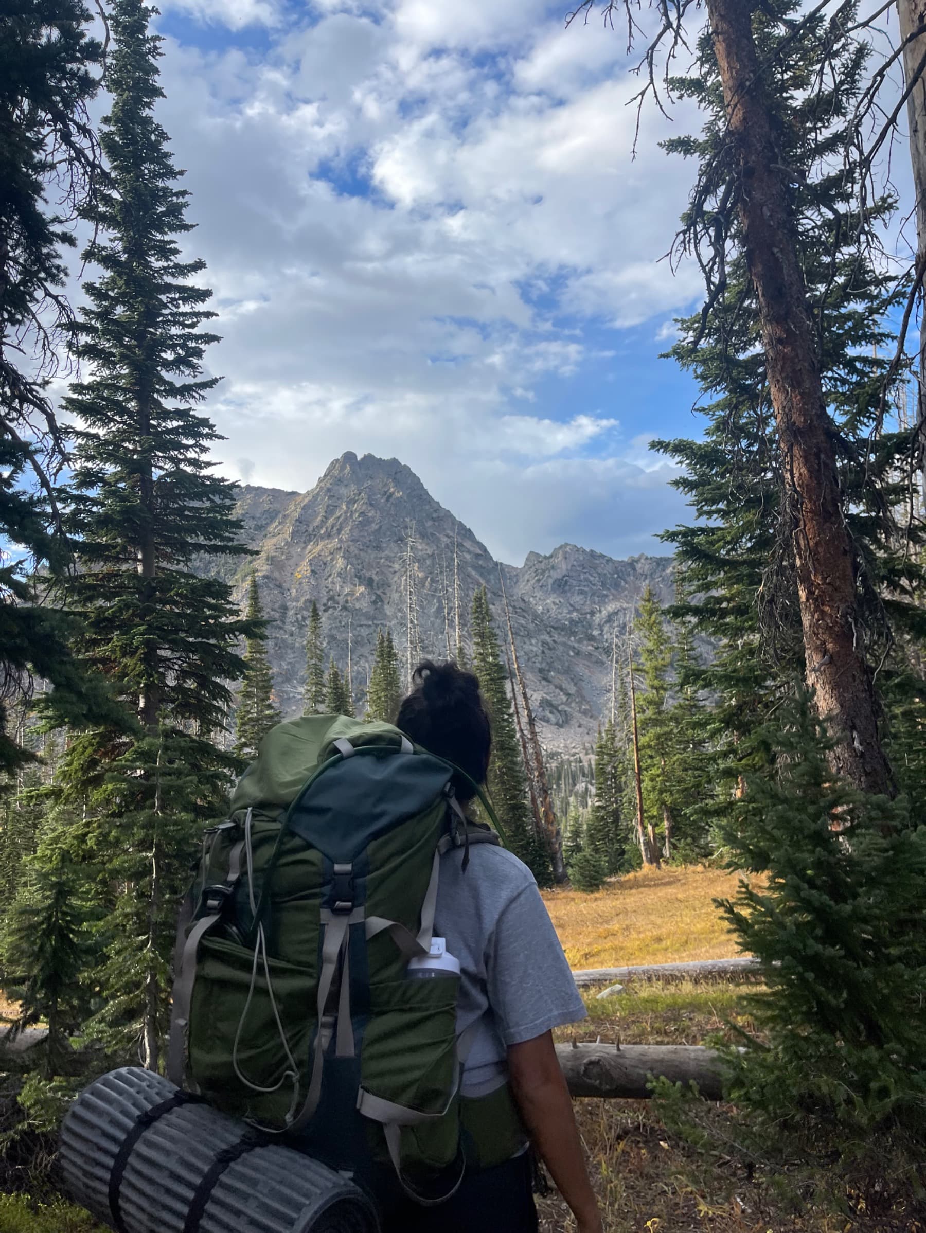 HelpSupportMyTripToNewYork